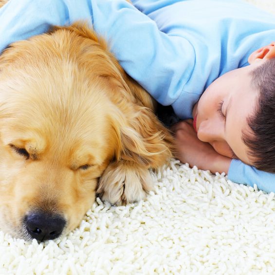 Cute boy sleeping together with his lovely dog. Green vs Chemical Cleaner