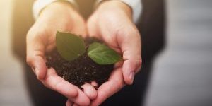 The future of business is in safe hands Cropped shot of a businessman holding a plant growing in soilhttp://195.154.178.81/DATA/i_collage/pi/shoots/805355.jpg